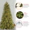 6.5 Ft. Pre-Lit Feel Real® Tiffany Fir Slim Artificial Christmas Tree, Clear Lights